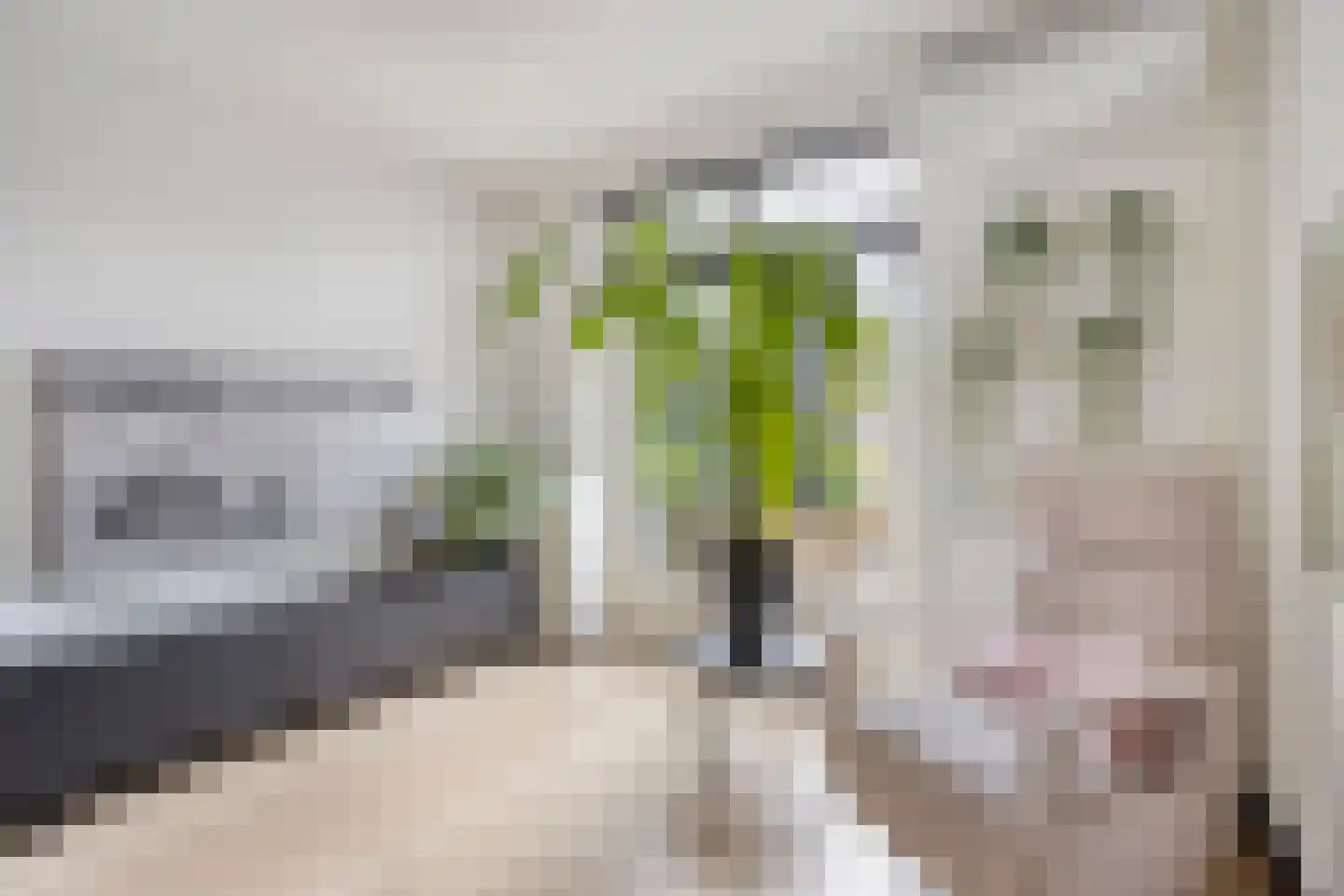 Berkdijksestraat 85 Tilburg thumbnail 15