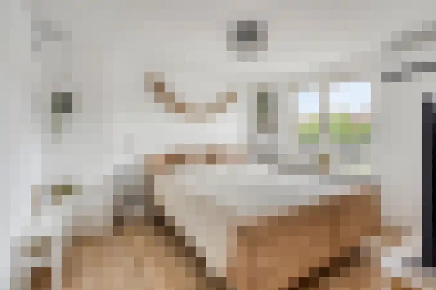 Berkdijksestraat 85 Tilburg thumbnail 27