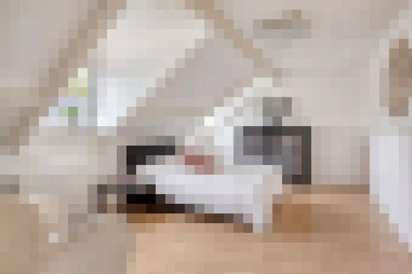 Berkdijksestraat 85 Tilburg thumbnail 39