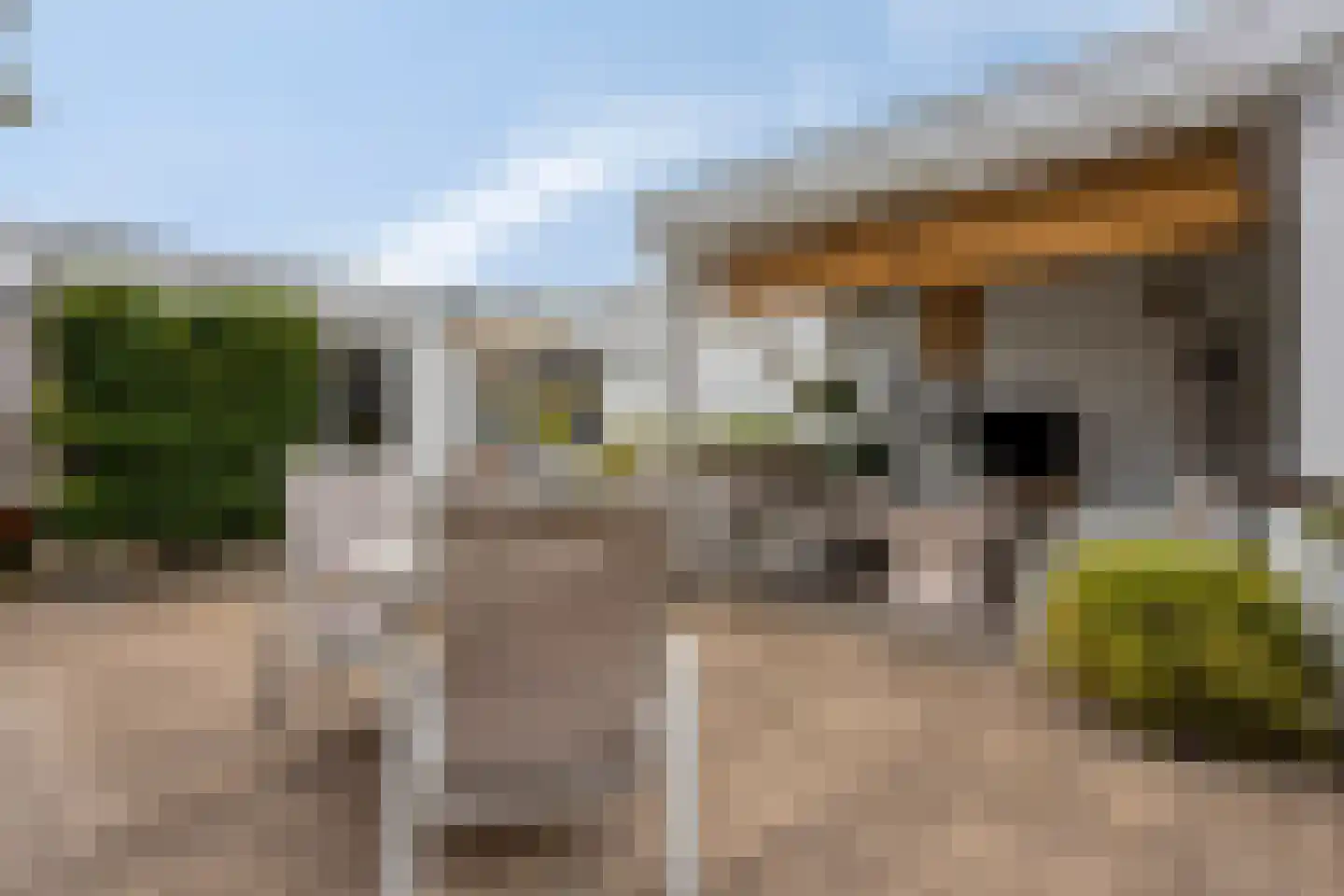 Berkdijksestraat 85 Tilburg thumbnail 43