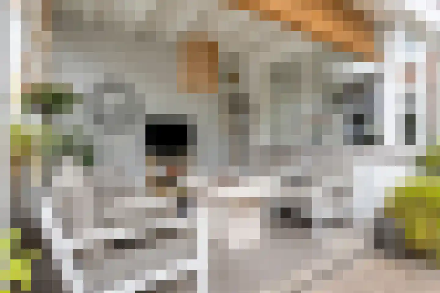 Berkdijksestraat 85 Tilburg thumbnail 46