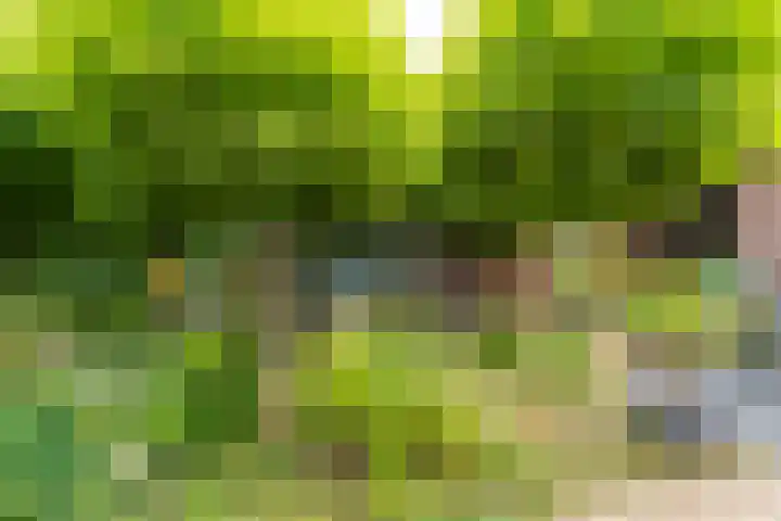 Berkdijksestraat 89 Tilburg thumbnail 5