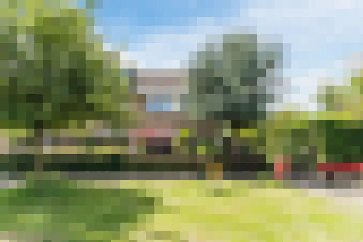 Berkeboom 20 Culemborg