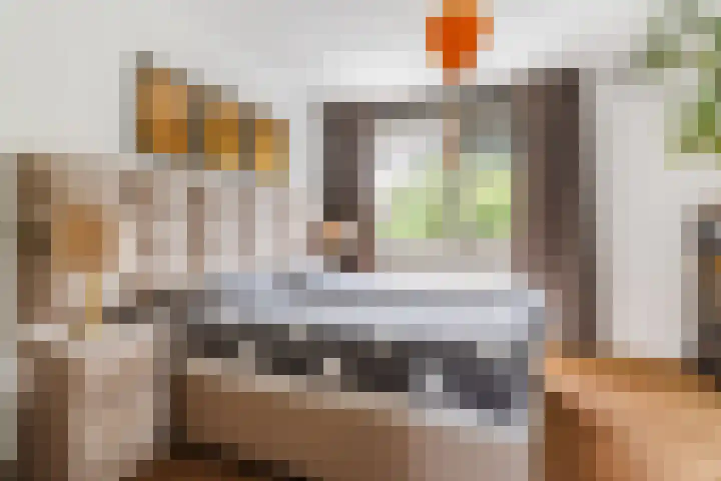 Berkeboom 20 Culemborg thumbnail 16