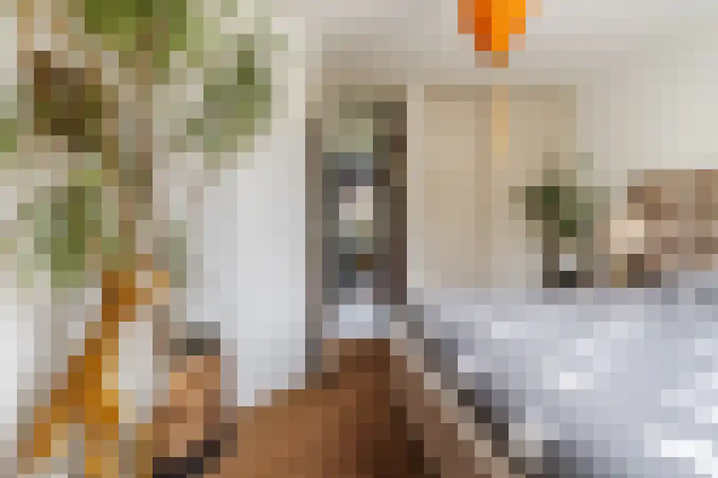 Berkeboom 20 Culemborg thumbnail 18