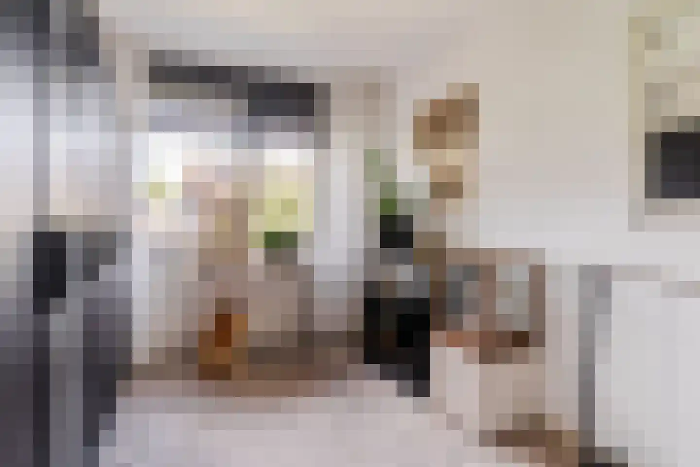 Berkeboom 20 Culemborg thumbnail 19