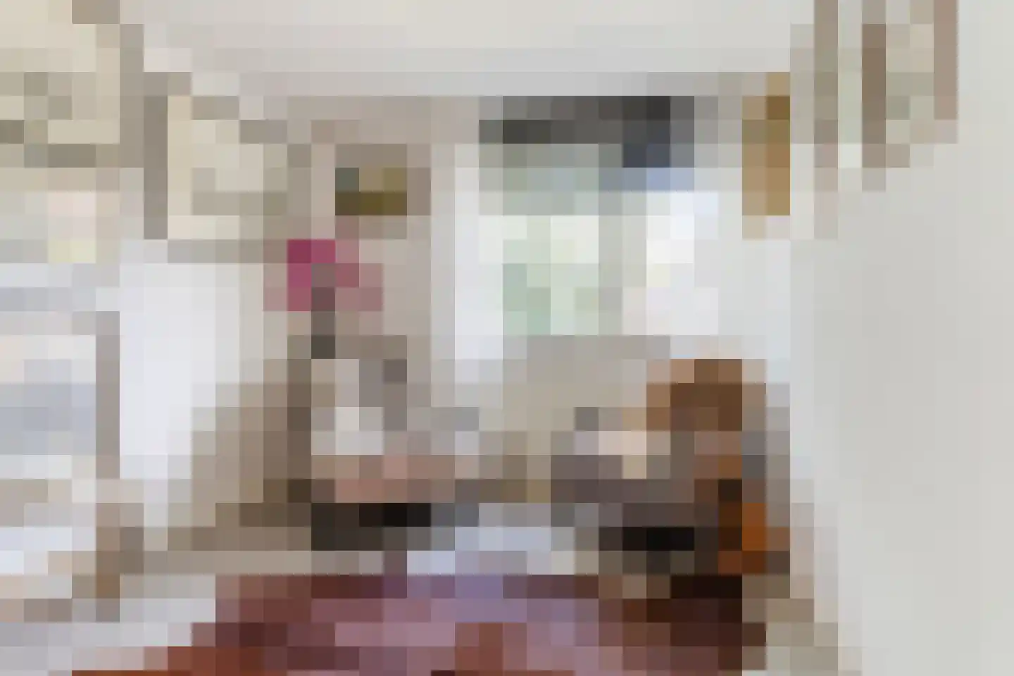 Berkeboom 20 Culemborg thumbnail 21