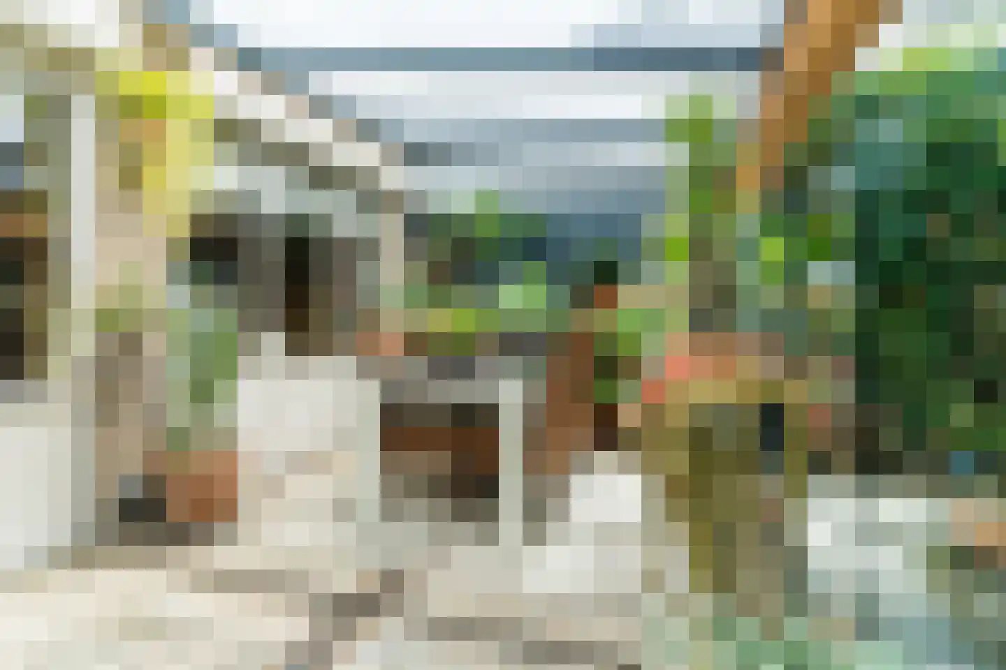 Berkeboom 20 Culemborg thumbnail 29