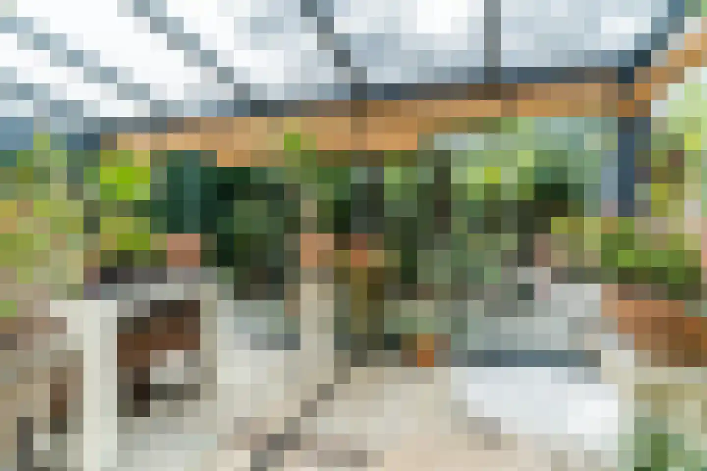 Berkeboom 20 Culemborg thumbnail 30