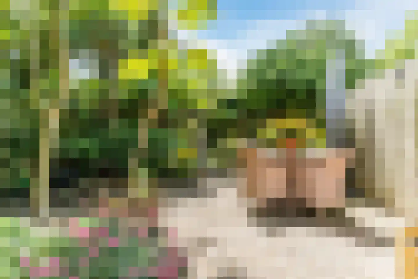 Berkeboom 20 Culemborg thumbnail 34
