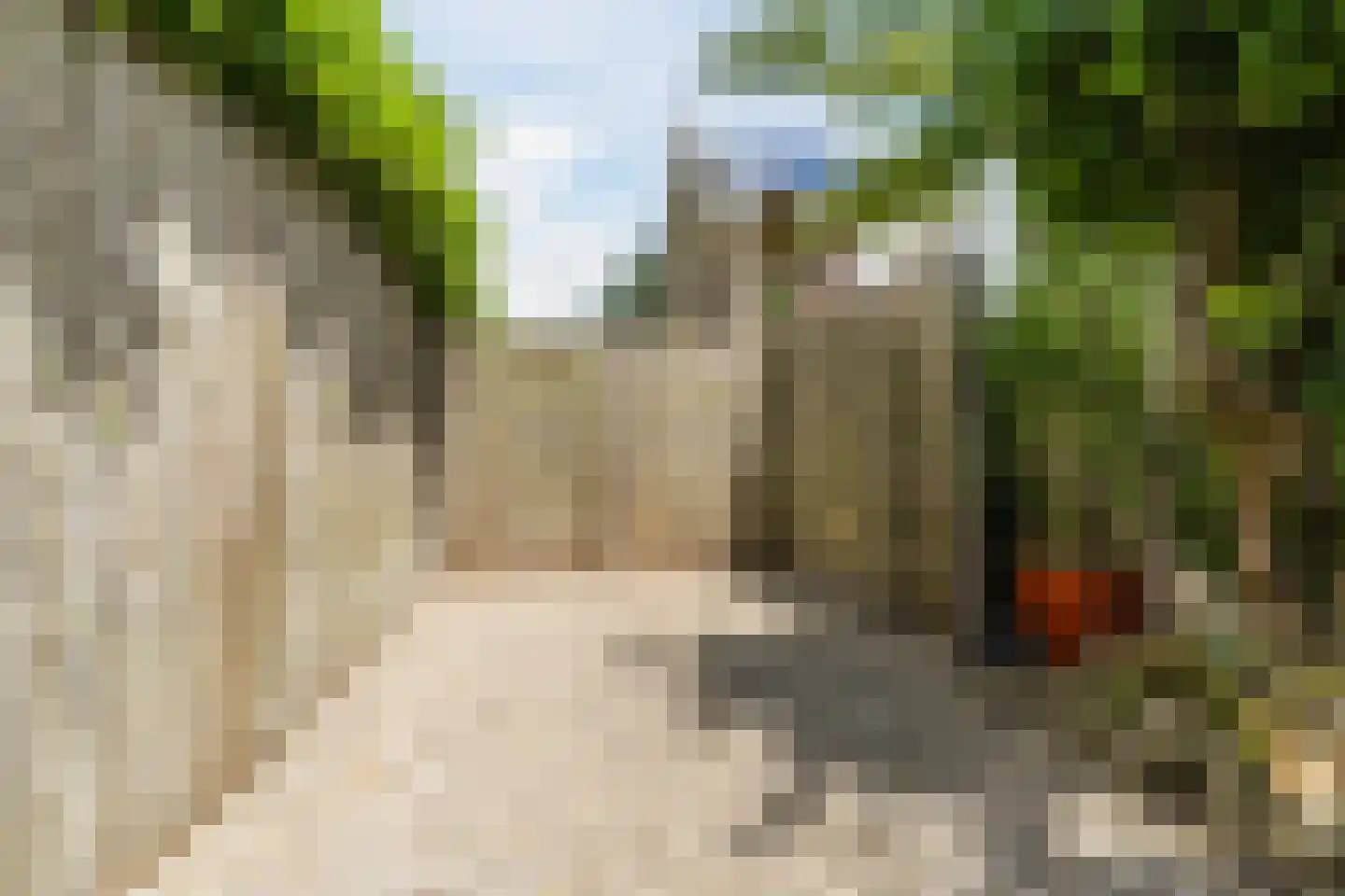 Berkeboom 20 Culemborg thumbnail 36