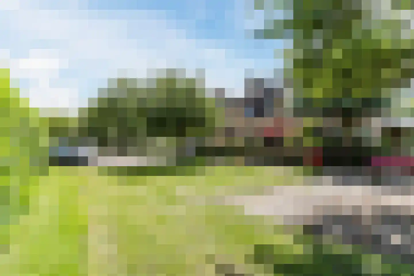 Berkeboom 20 Culemborg thumbnail 37