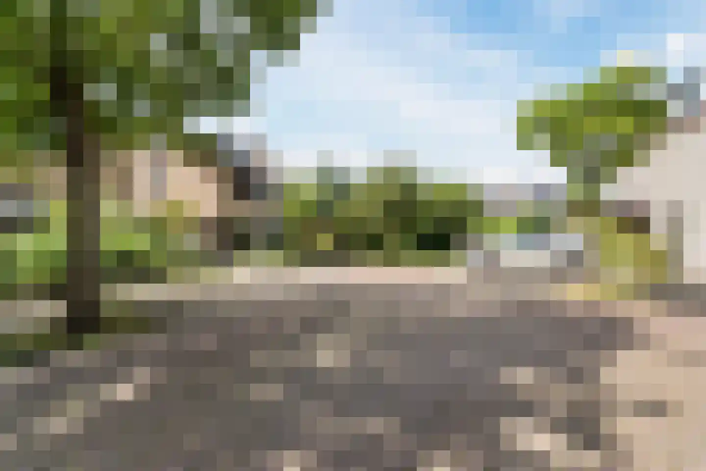Berkeboom 20 Culemborg thumbnail 39