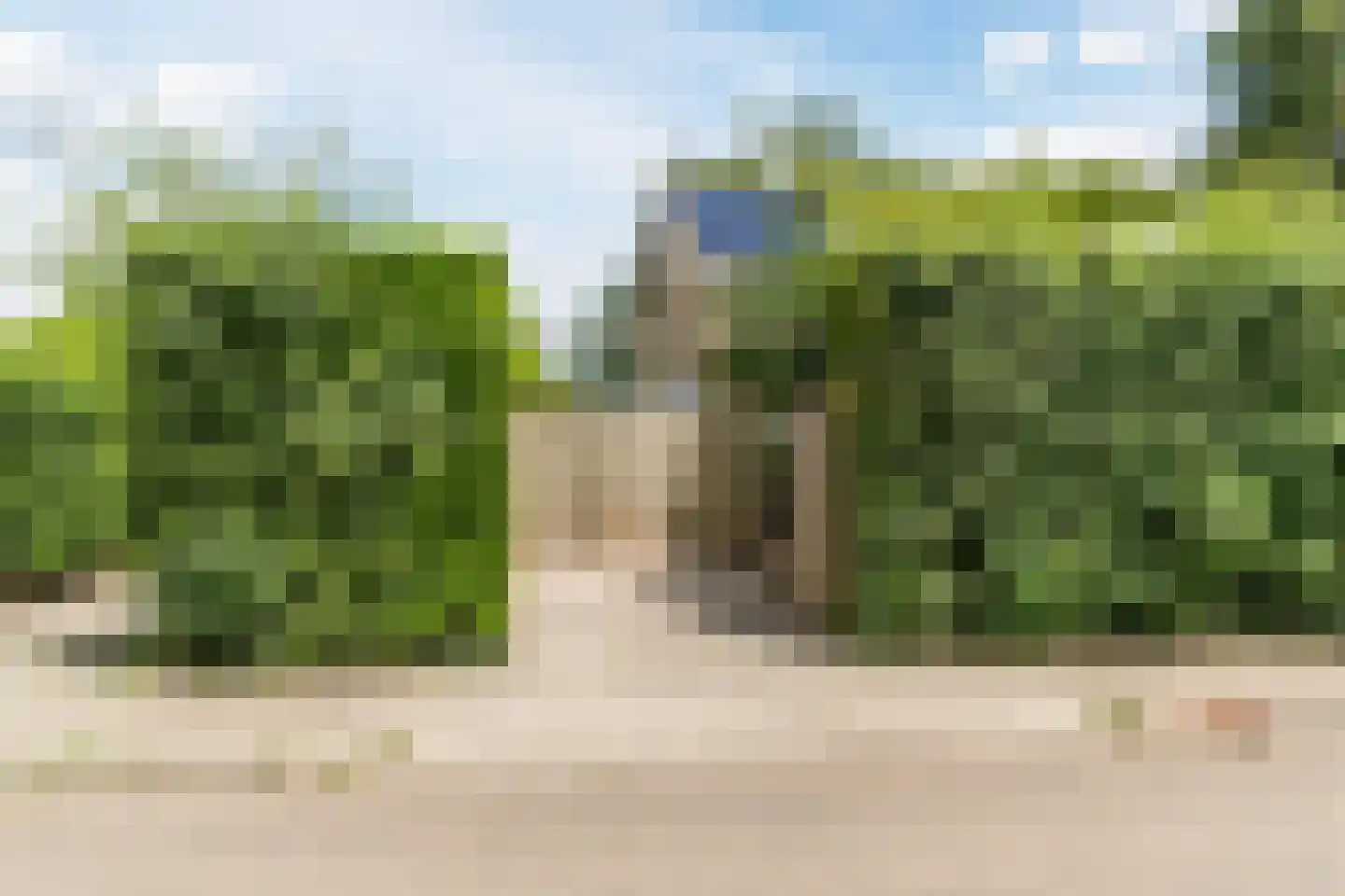 Berkeboom 20 Culemborg thumbnail 40