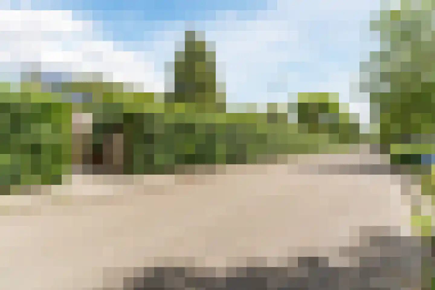 Berkeboom 20 Culemborg thumbnail 41