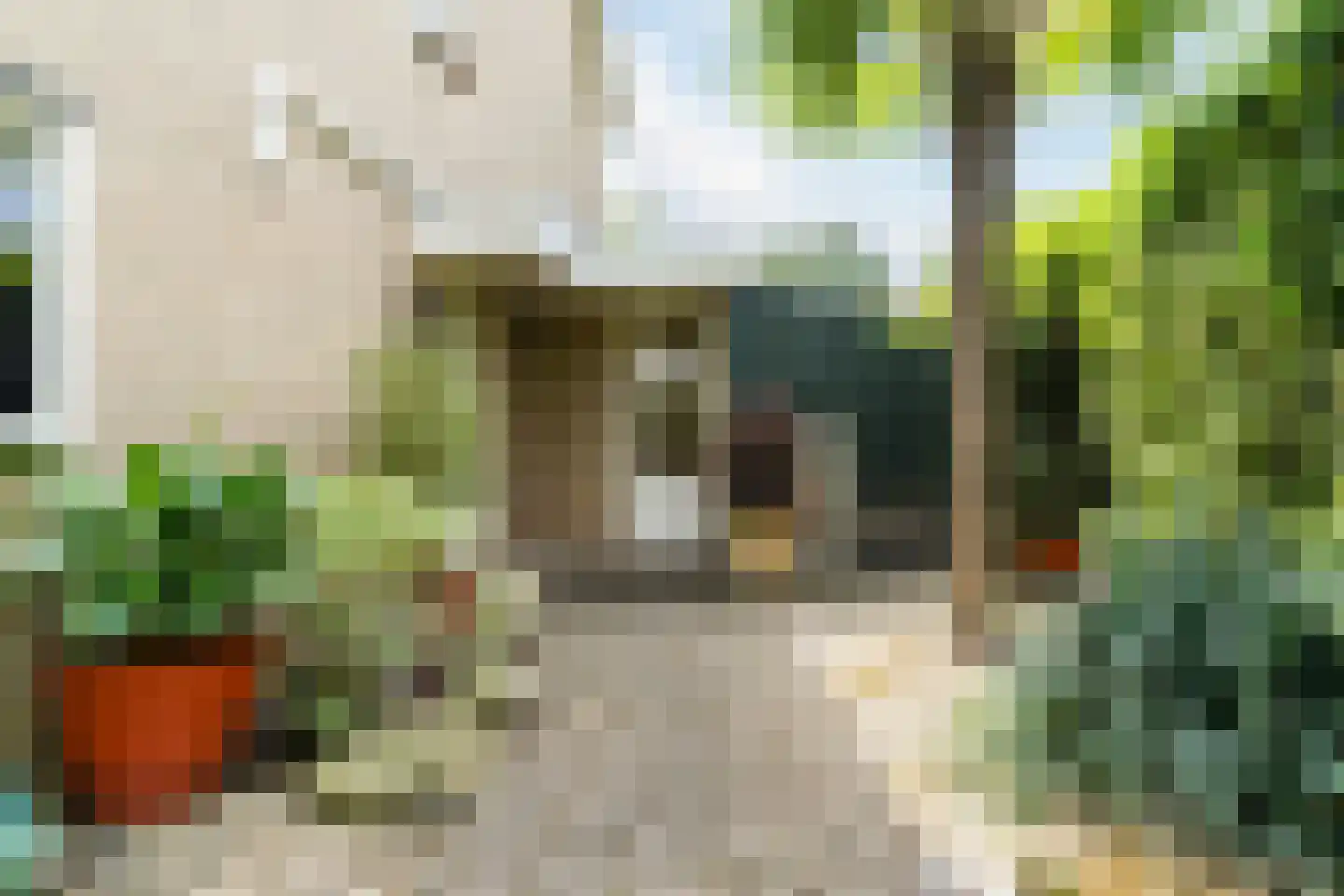 Berkeboom 20 Culemborg thumbnail 42