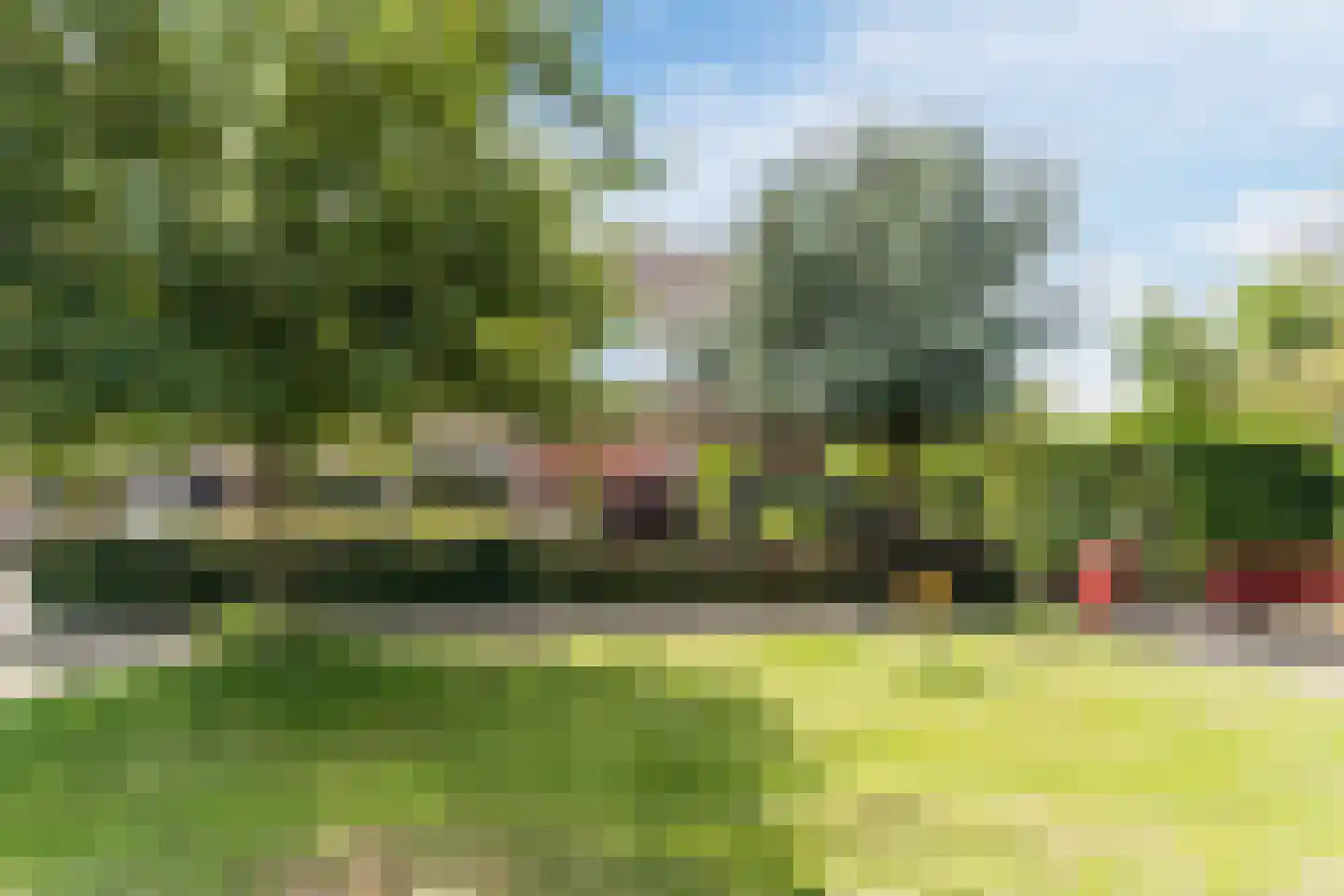 Berkeboom 20 Culemborg thumbnail 44