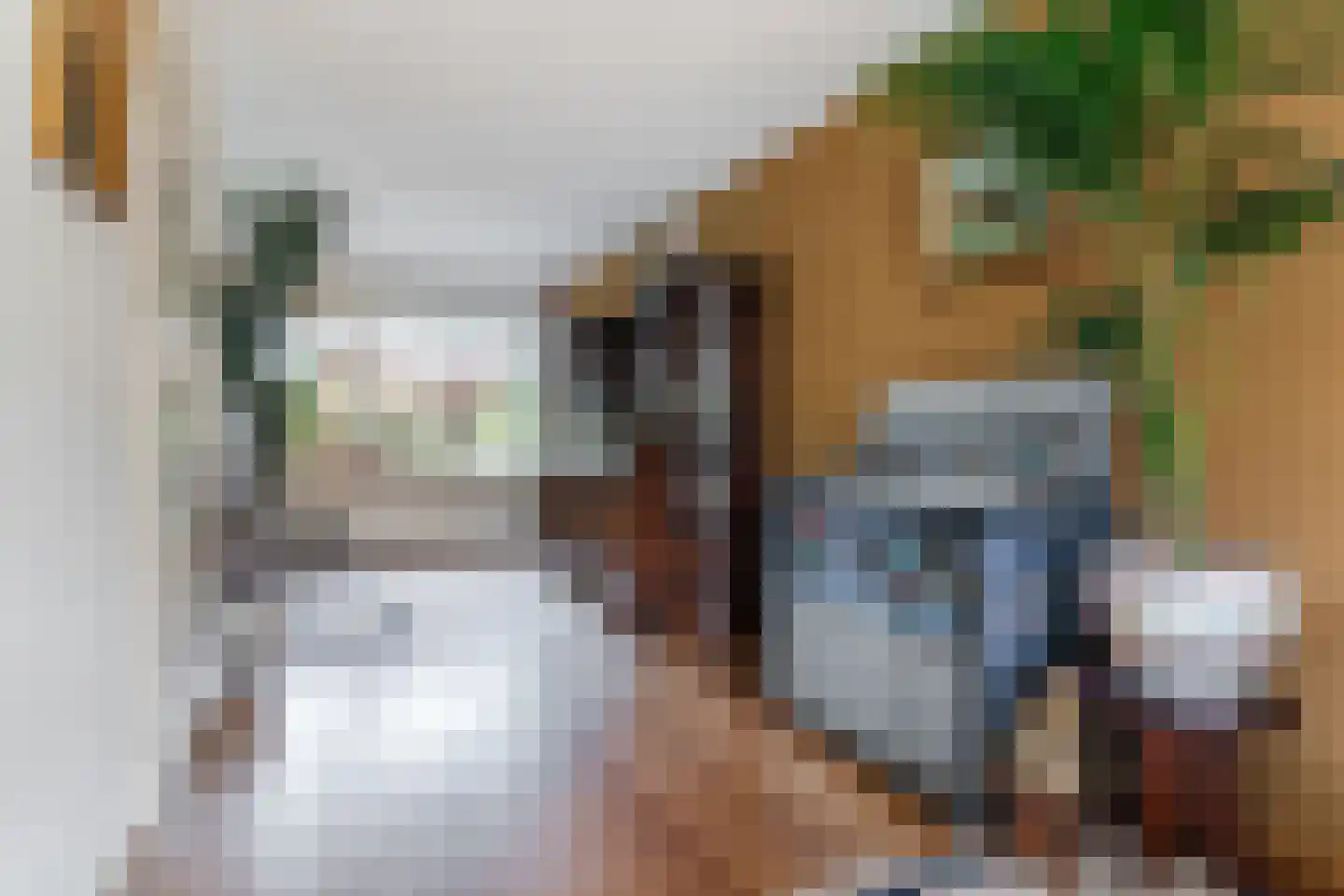 Berkeboom 20 Culemborg thumbnail 6