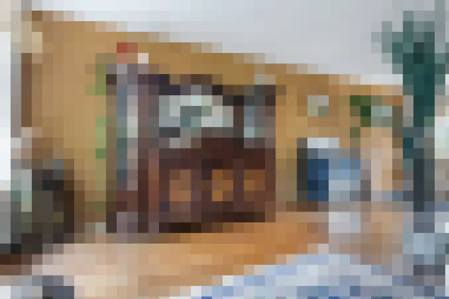 Berkeboom 20 Culemborg thumbnail 7
