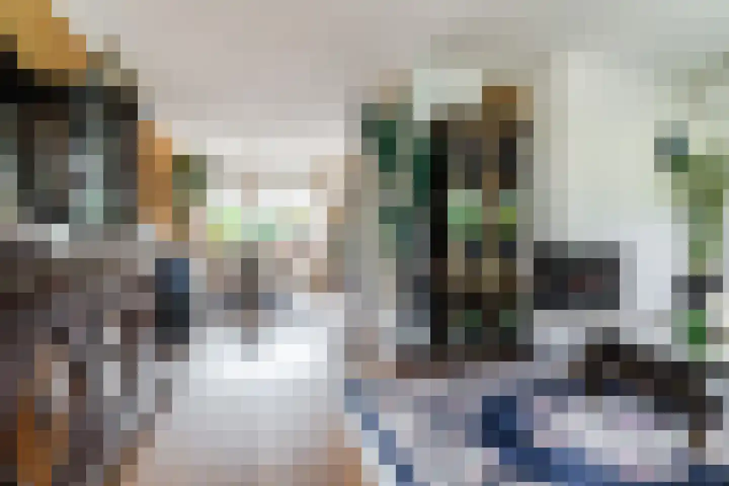 Berkeboom 20 Culemborg thumbnail 8