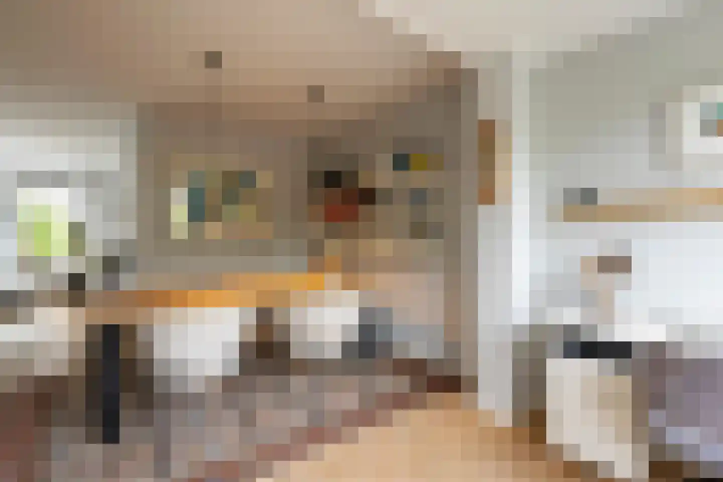Berkeboom 26 Culemborg thumbnail 24