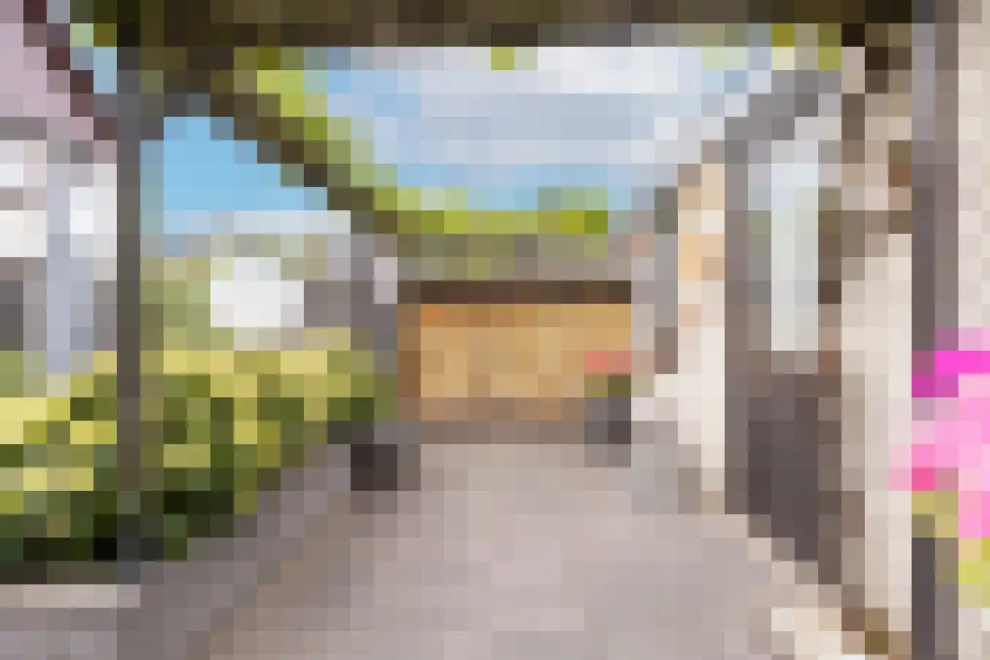 Berkeboom 26 Culemborg thumbnail 31