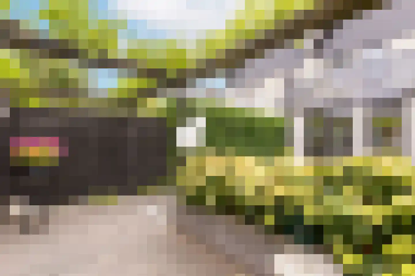 Berkeboom 26 Culemborg thumbnail 33