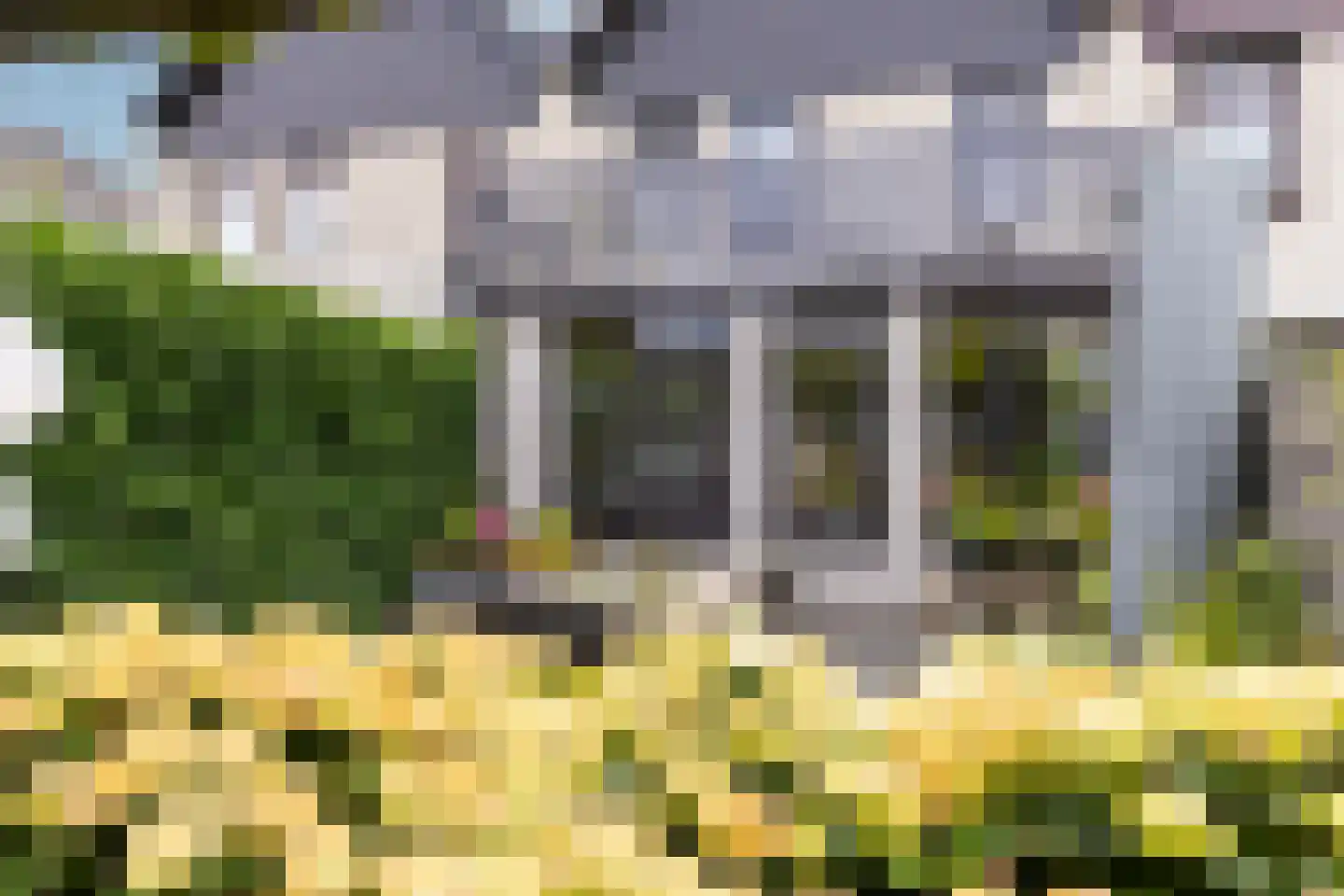 Berkeboom 26 Culemborg thumbnail 34