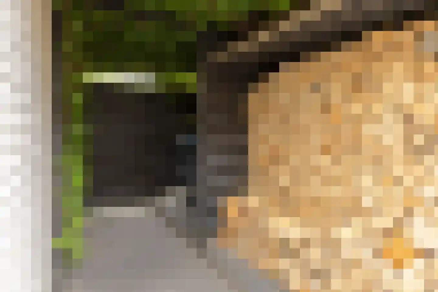 Berkeboom 26 Culemborg thumbnail 35