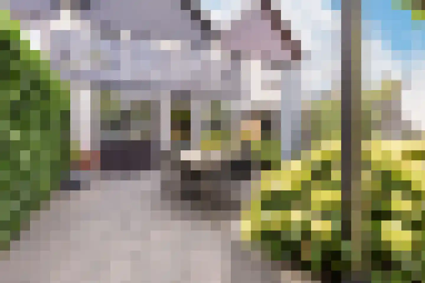 Berkeboom 26 Culemborg thumbnail 37