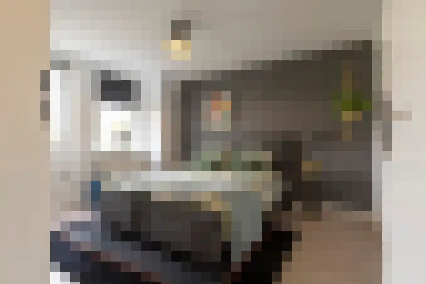 Berkeboom 26 Culemborg thumbnail 39