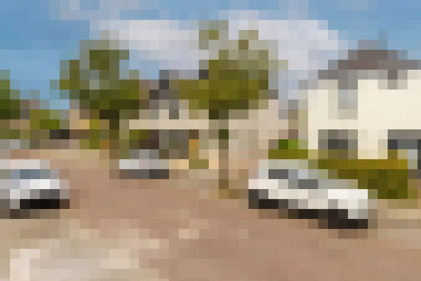 Berkeboom 26 Culemborg thumbnail 4