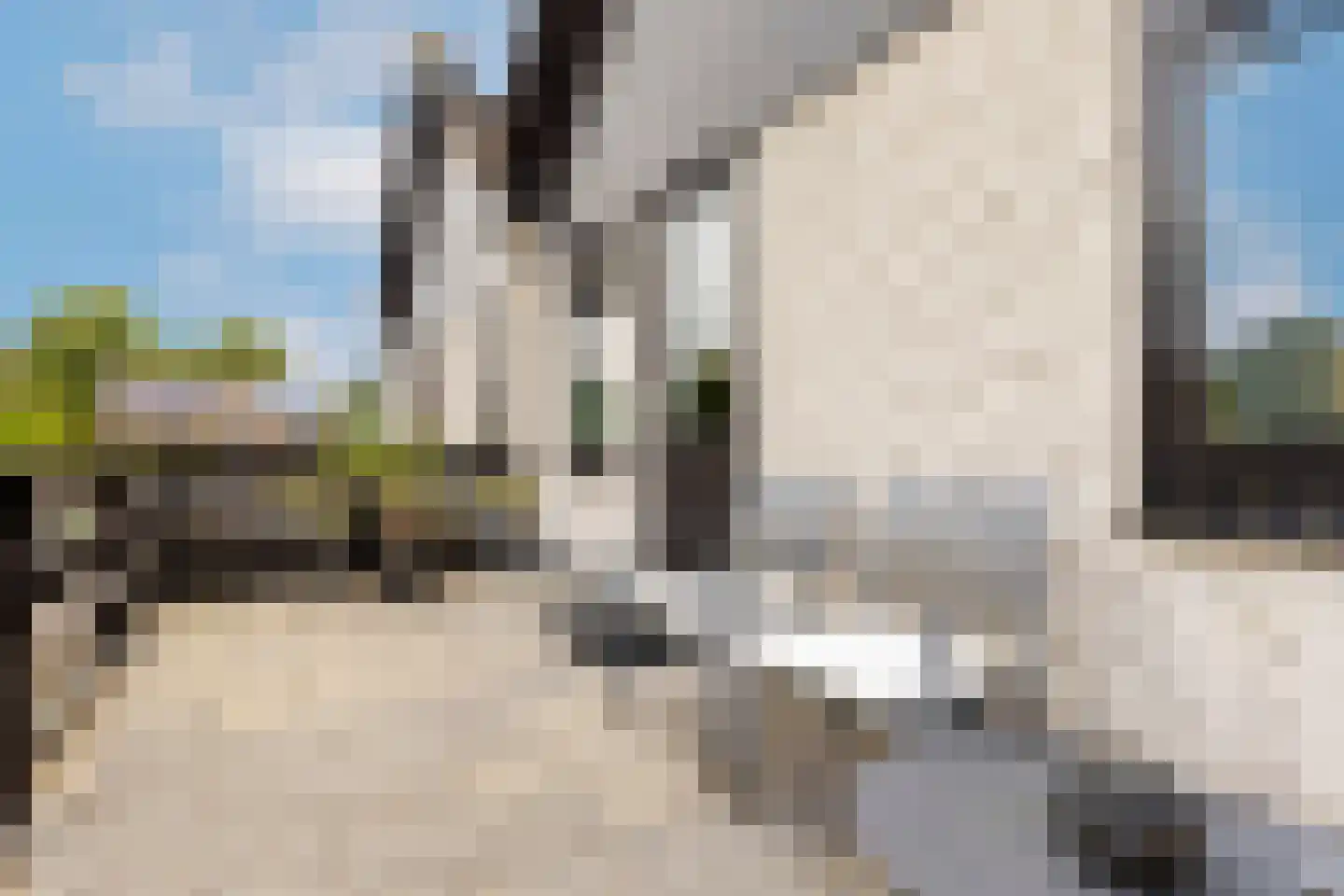 Berkeboom 26 Culemborg thumbnail 42