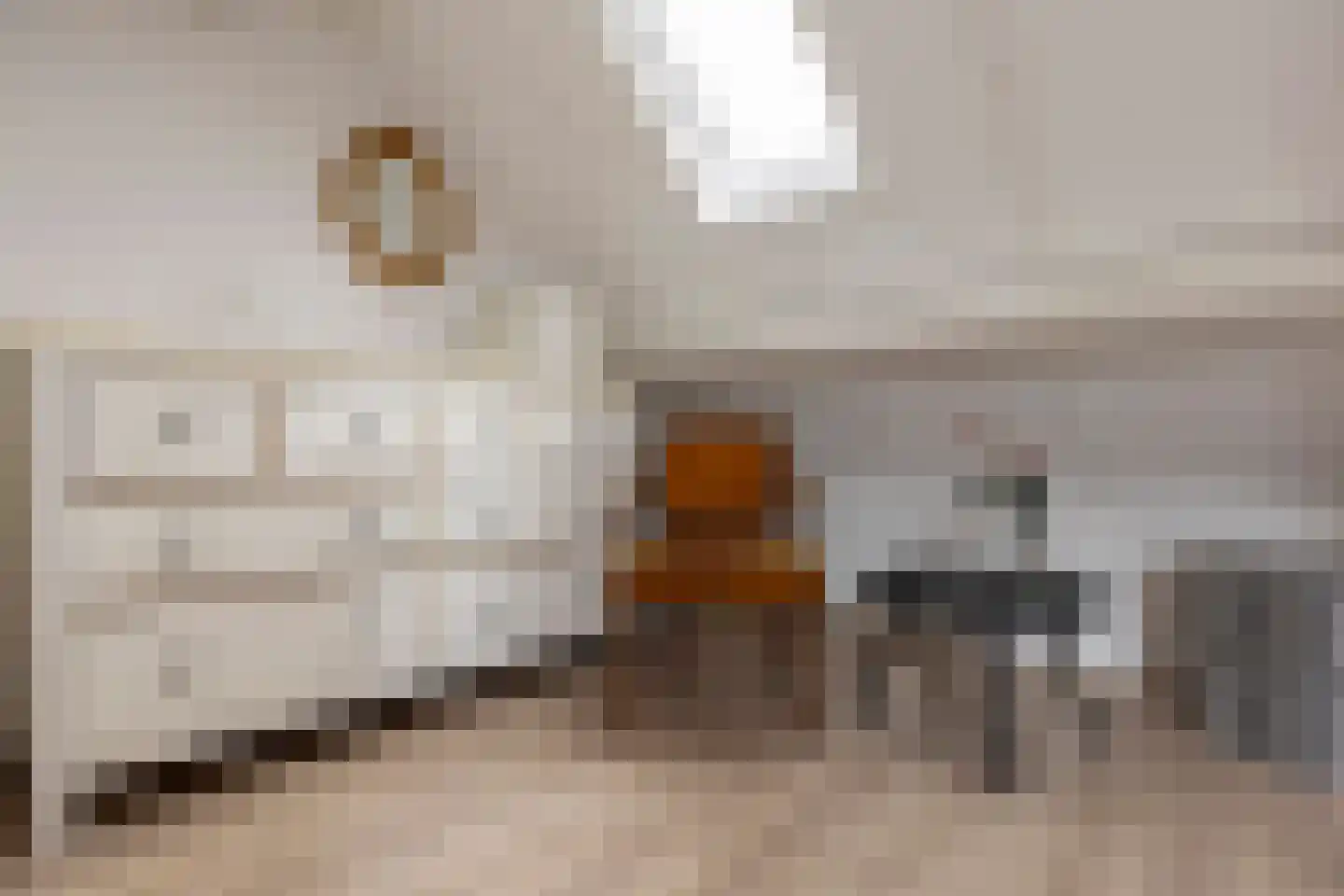 Berkeboom 26 Culemborg thumbnail 58