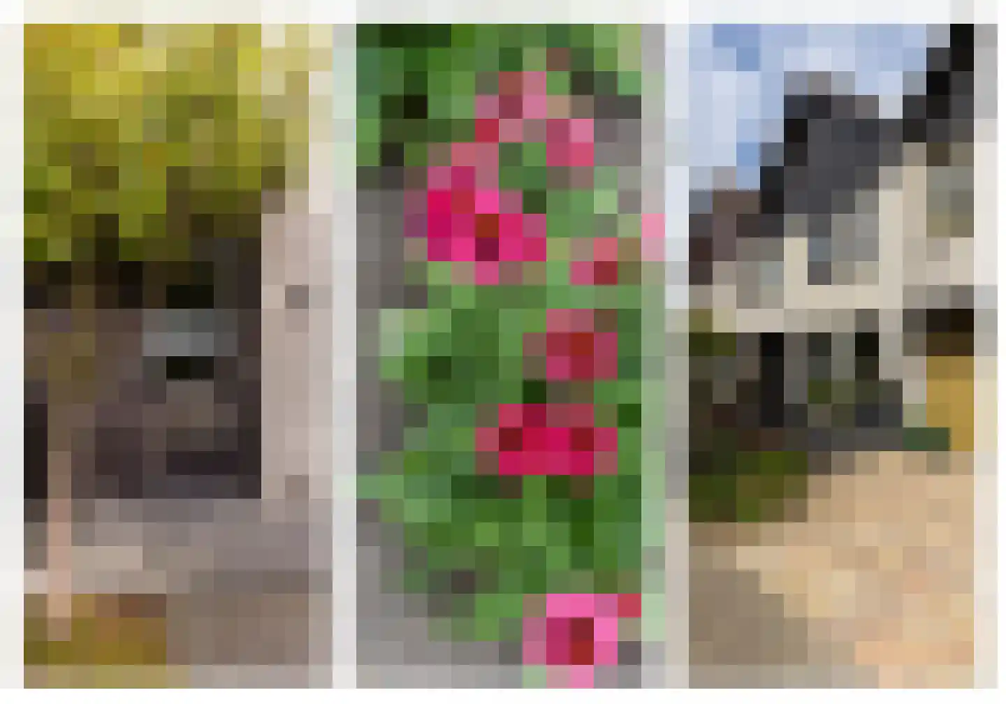 Berkeboom 26 Culemborg thumbnail 7