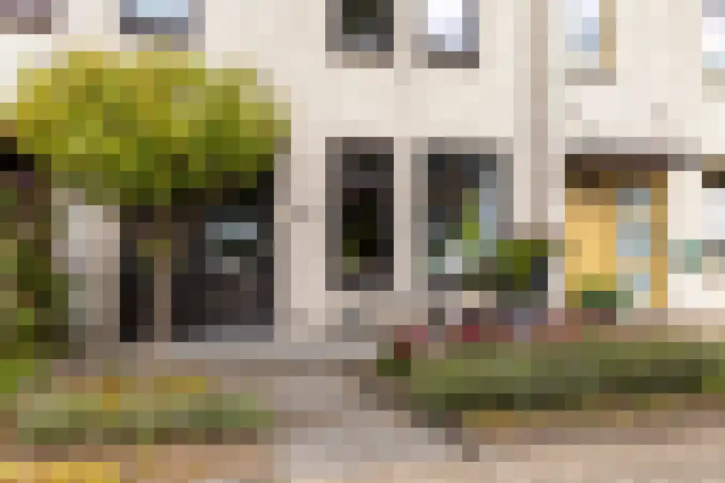 Berkeboom 26 Culemborg thumbnail 8