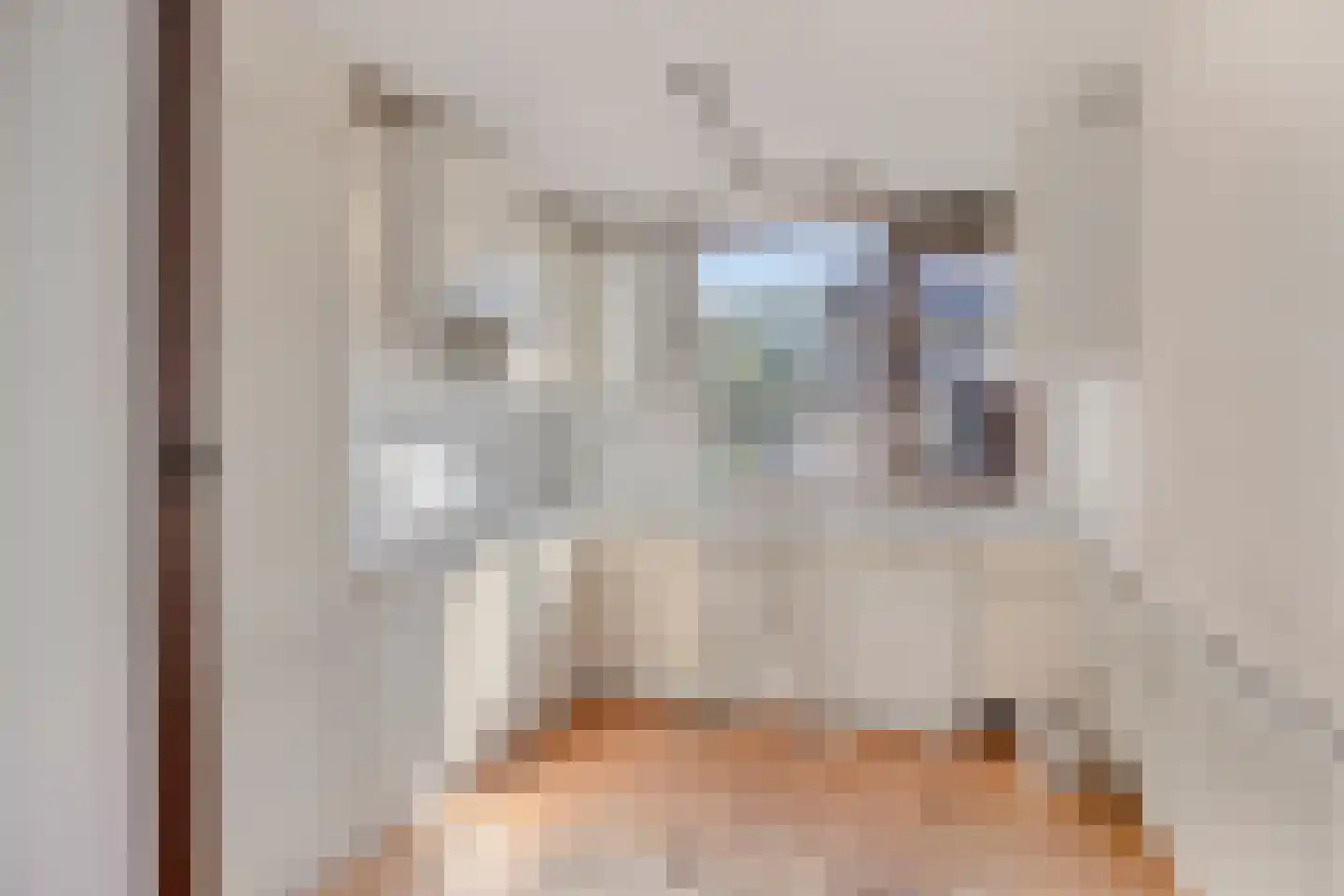 Berkeboom 33 a Culemborg thumbnail 12