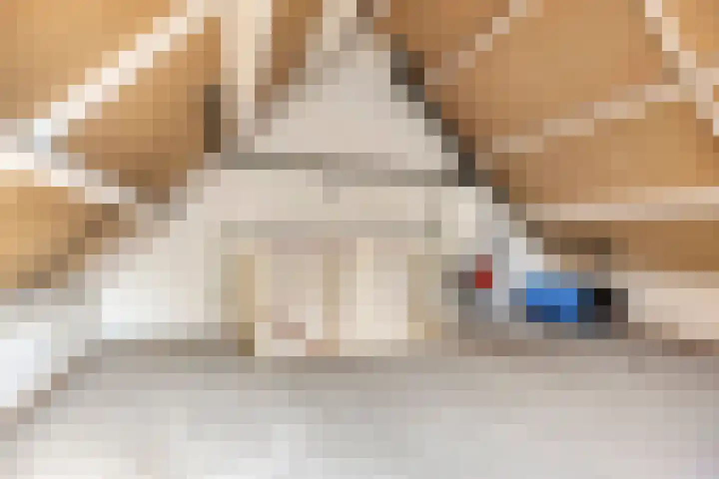 Berkeboom 33 a Culemborg thumbnail 23