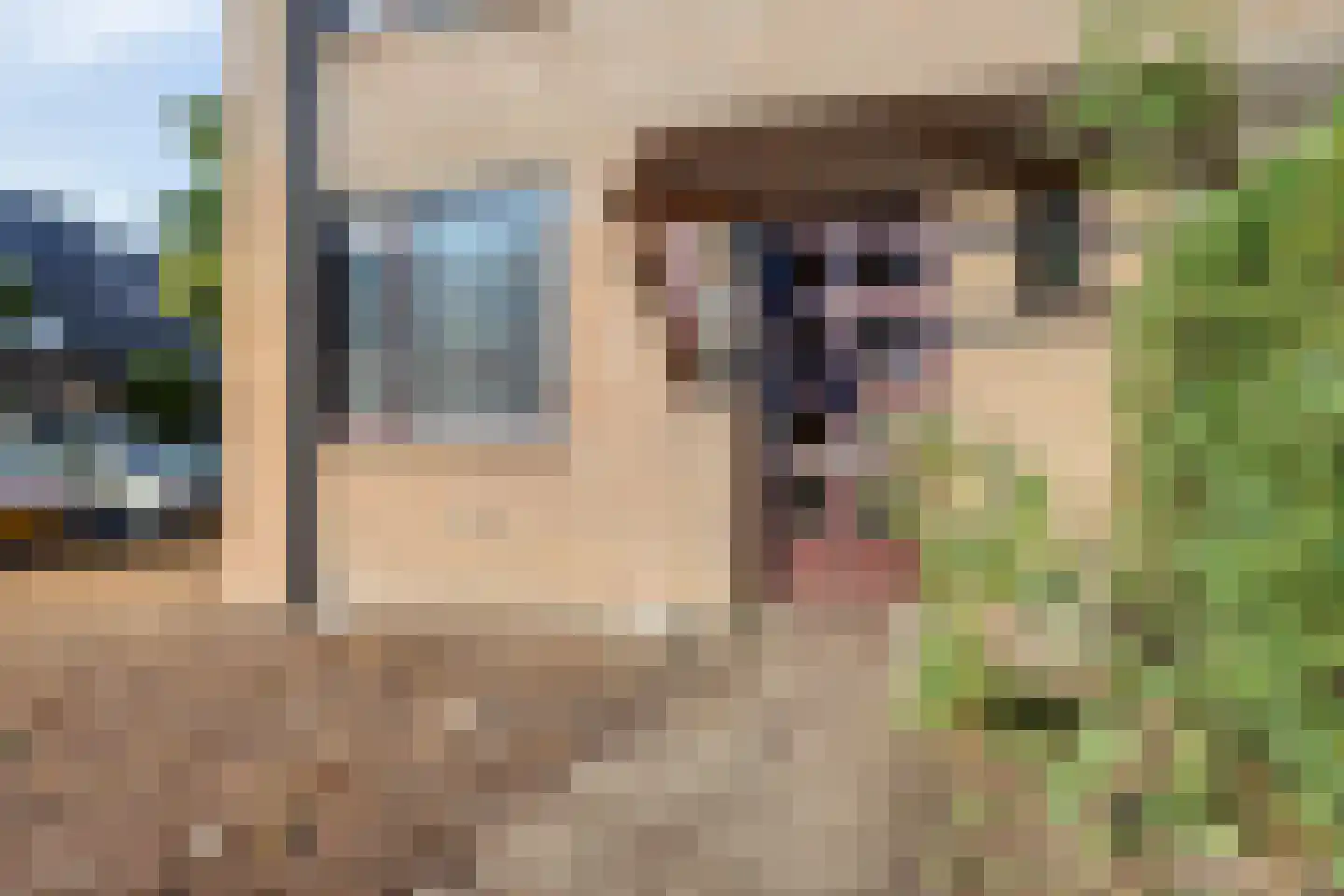 Berkeboom 33 a Culemborg thumbnail 30