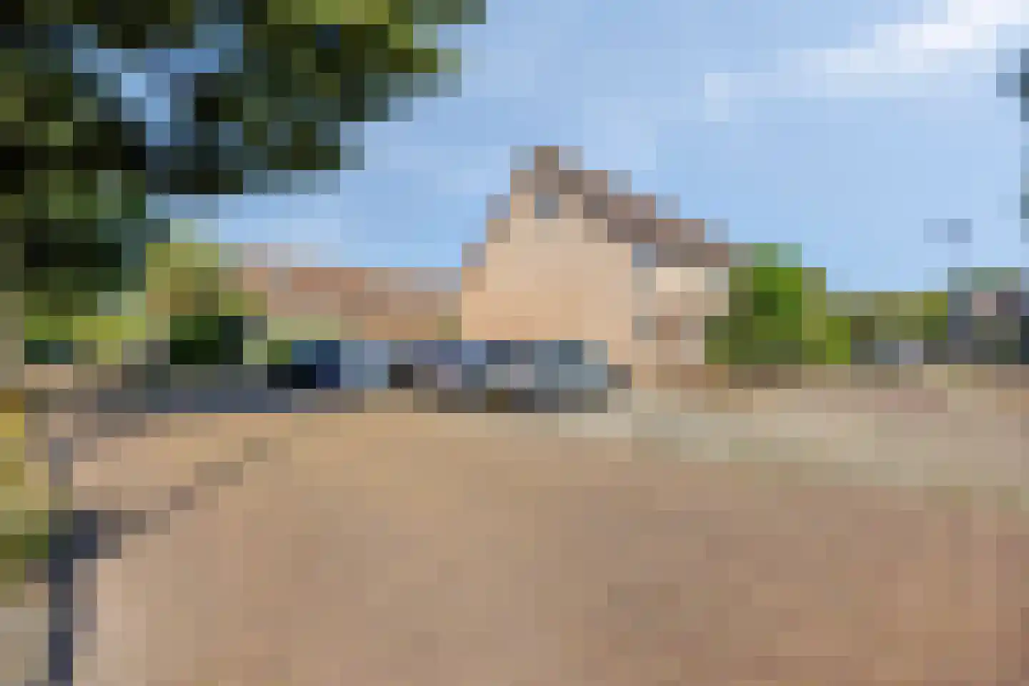 Berkeboom 33 a Culemborg thumbnail 31