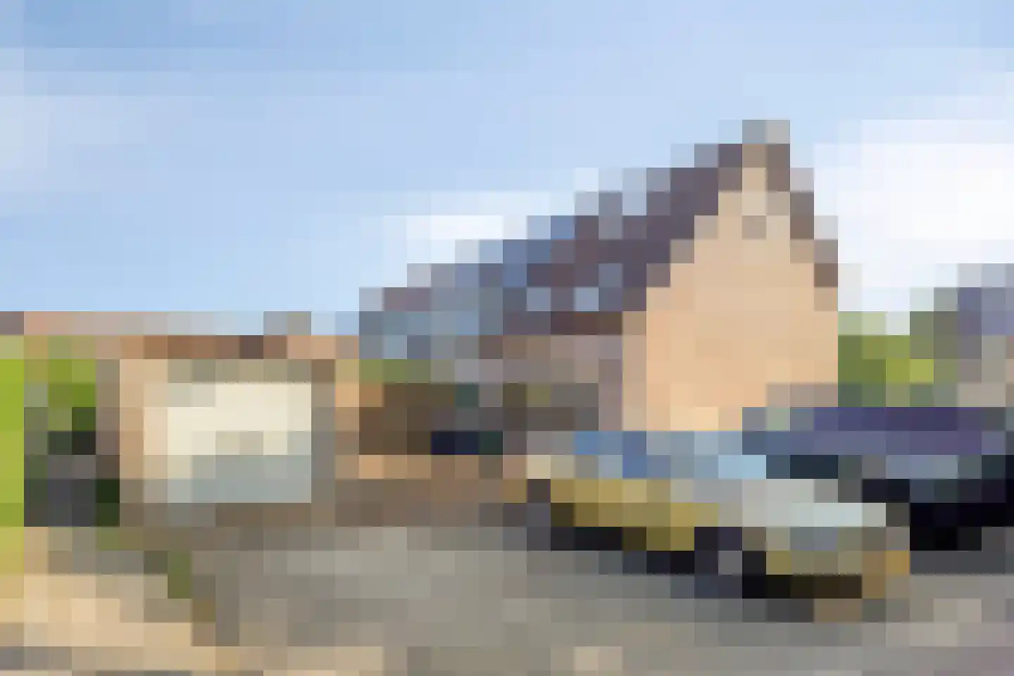 Berkeboom 33 a Culemborg thumbnail 6