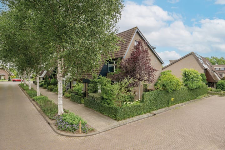 Berkeboom 55 in Culemborg Foto