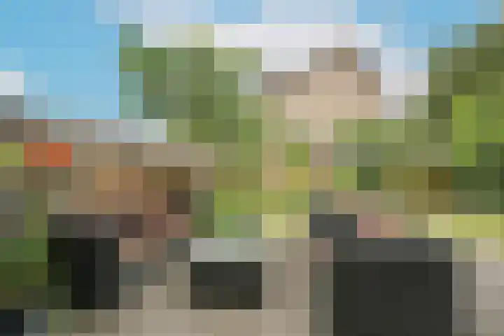 Berkeboom 55 Culemborg thumbnail 17
