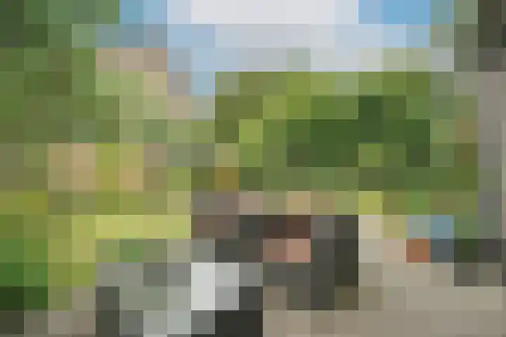 Berkeboom 55 Culemborg thumbnail 18