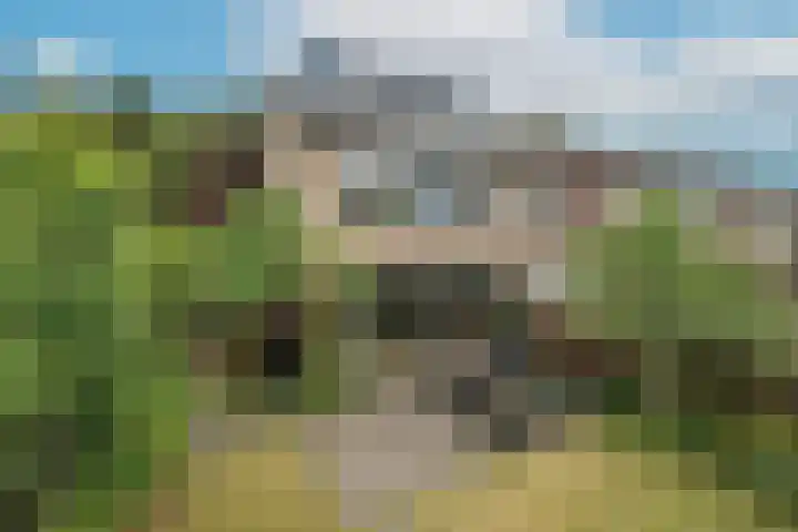 Berkeboom 55 Culemborg thumbnail 22