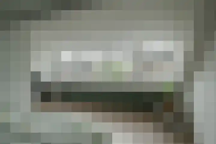 Berkeboom 55 Culemborg thumbnail 39