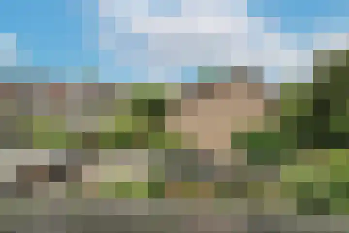 Berkeboom 55 Culemborg thumbnail 41