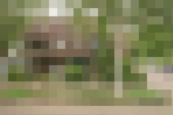 Berkeboom 55 Culemborg thumbnail 45
