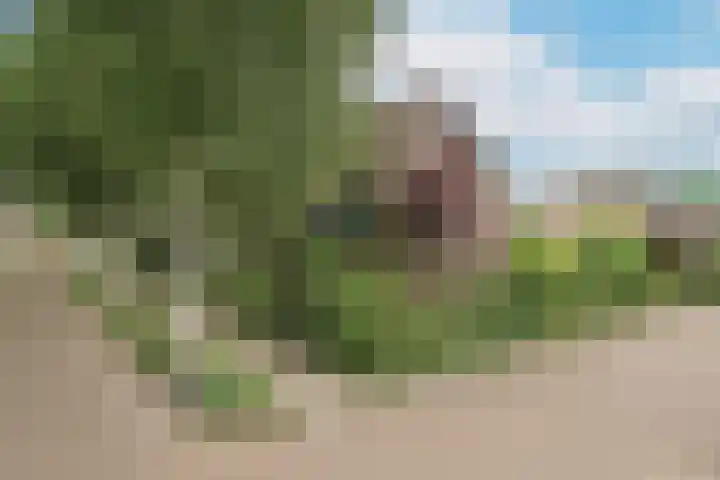 Berkeboom 55 Culemborg thumbnail 46