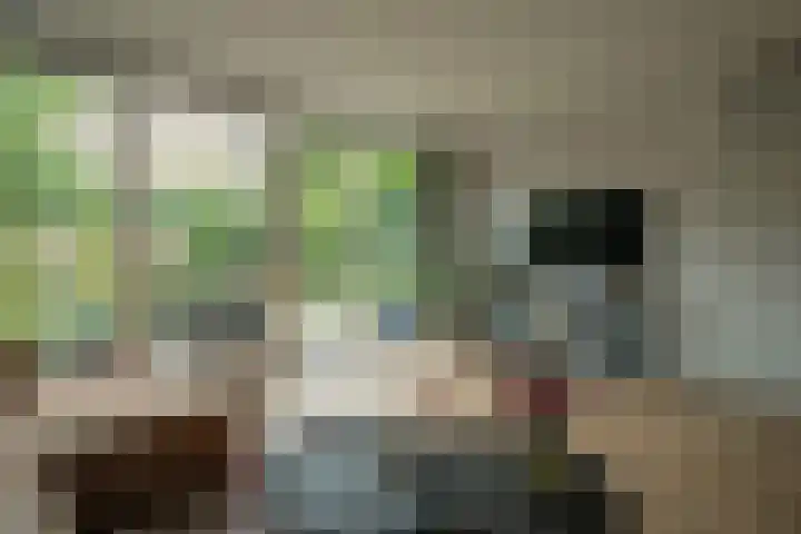 Berkeboom 55 Culemborg thumbnail 7